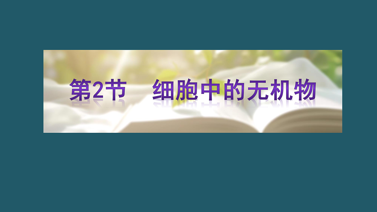17424541第1页