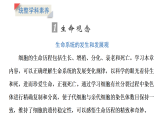 高一生物（人教版）必修一课件第6章章末、阶段质量检测