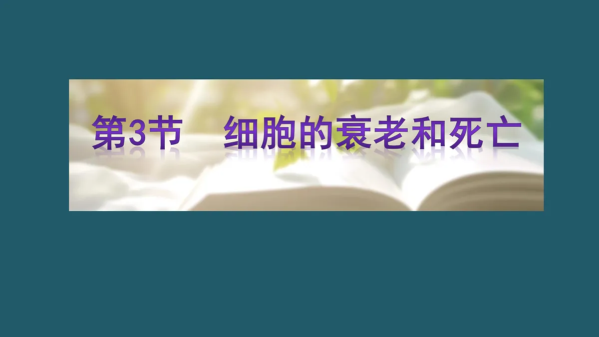 17424547第1页