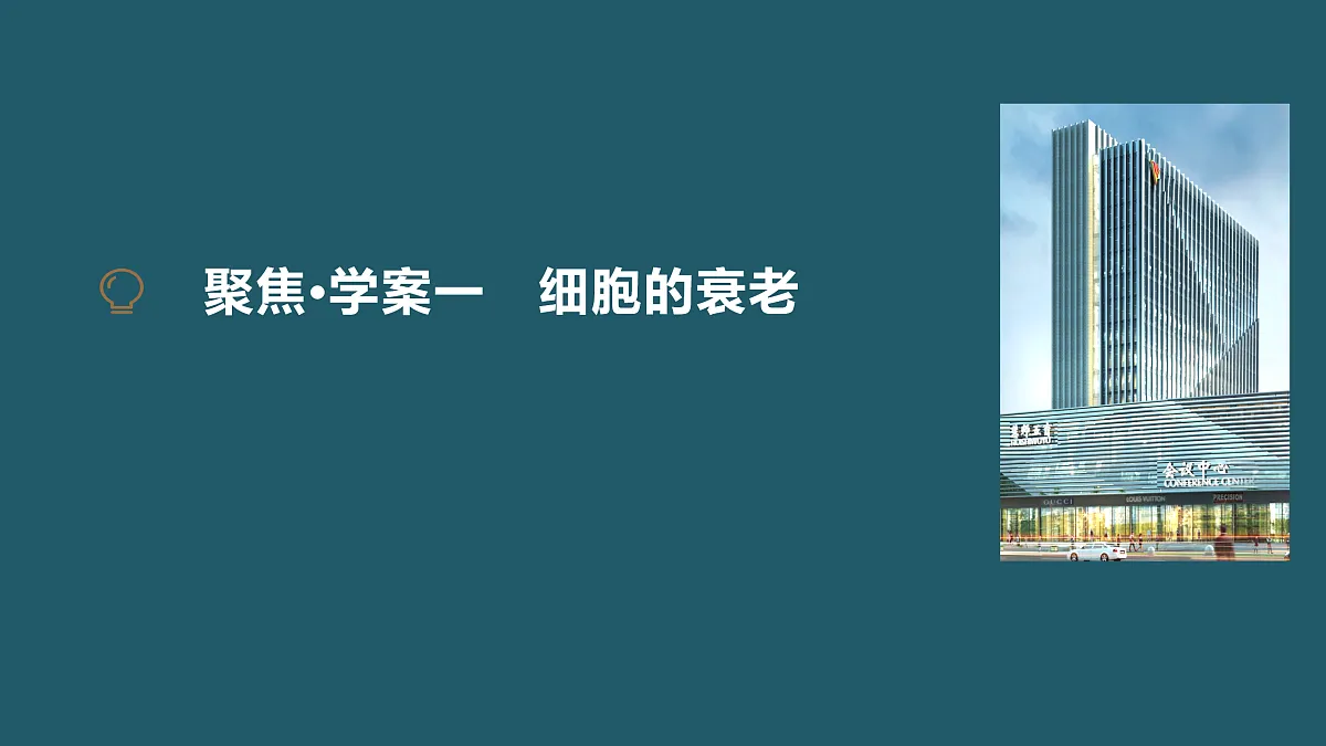 17424547第4页
