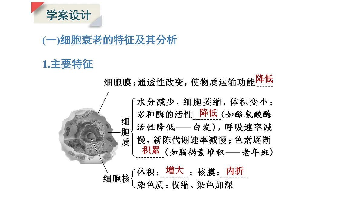 17424547第5页