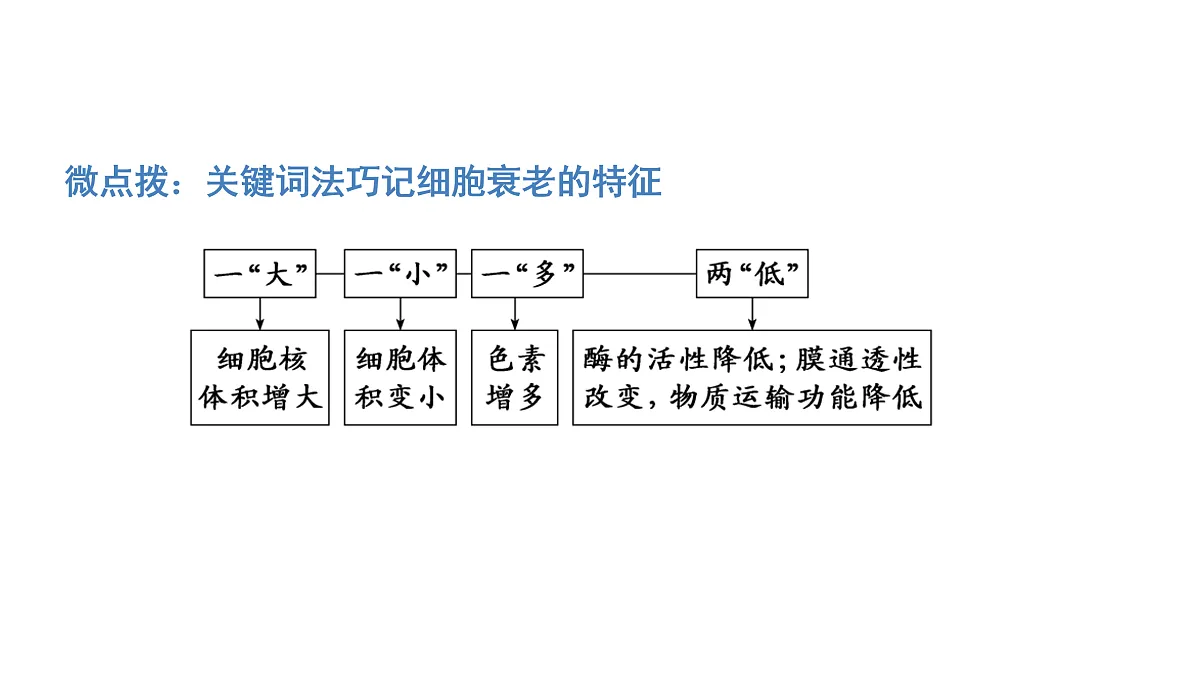 17424547第7页
