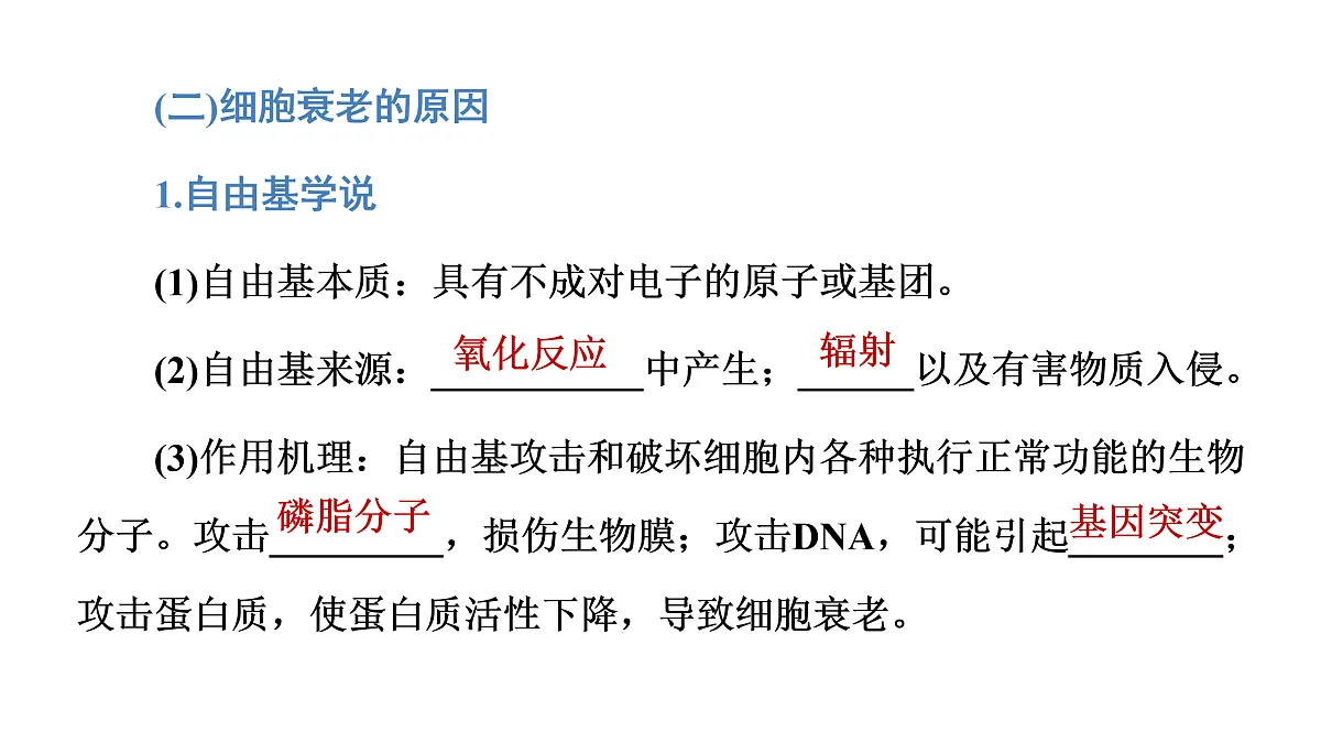 17424547第8页