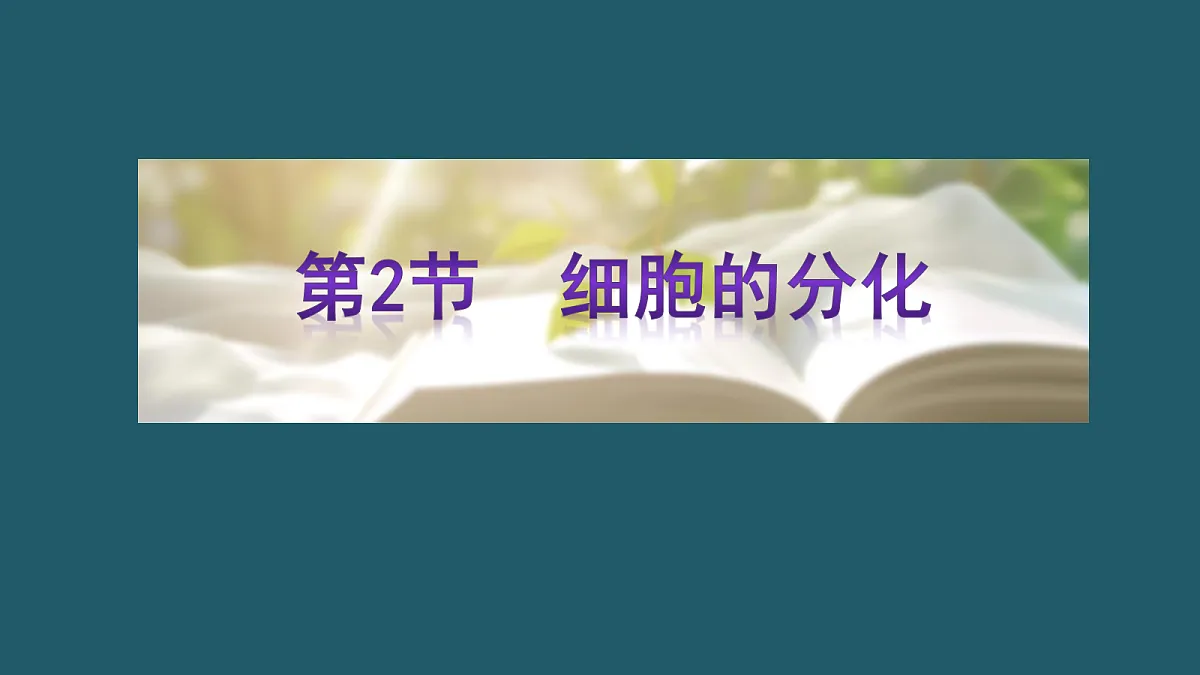 17424548第1页
