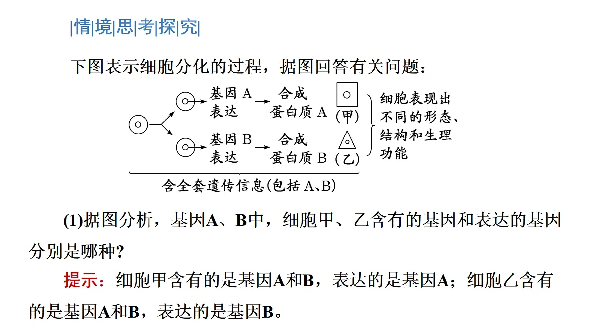 17424548第8页