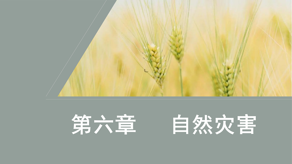 17424616第1页