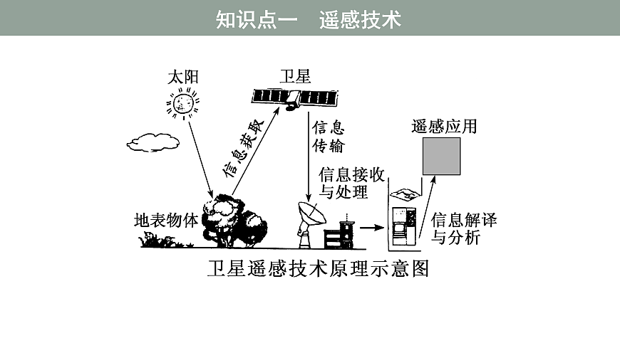 17424617第5页