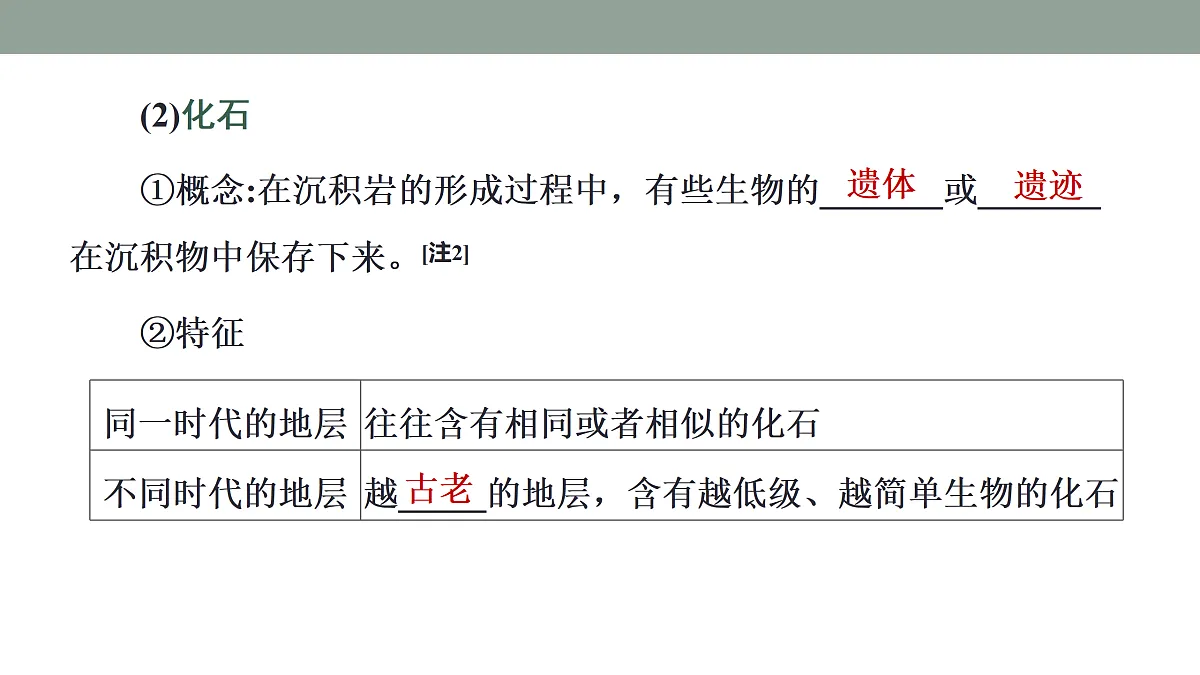 17424648第7页