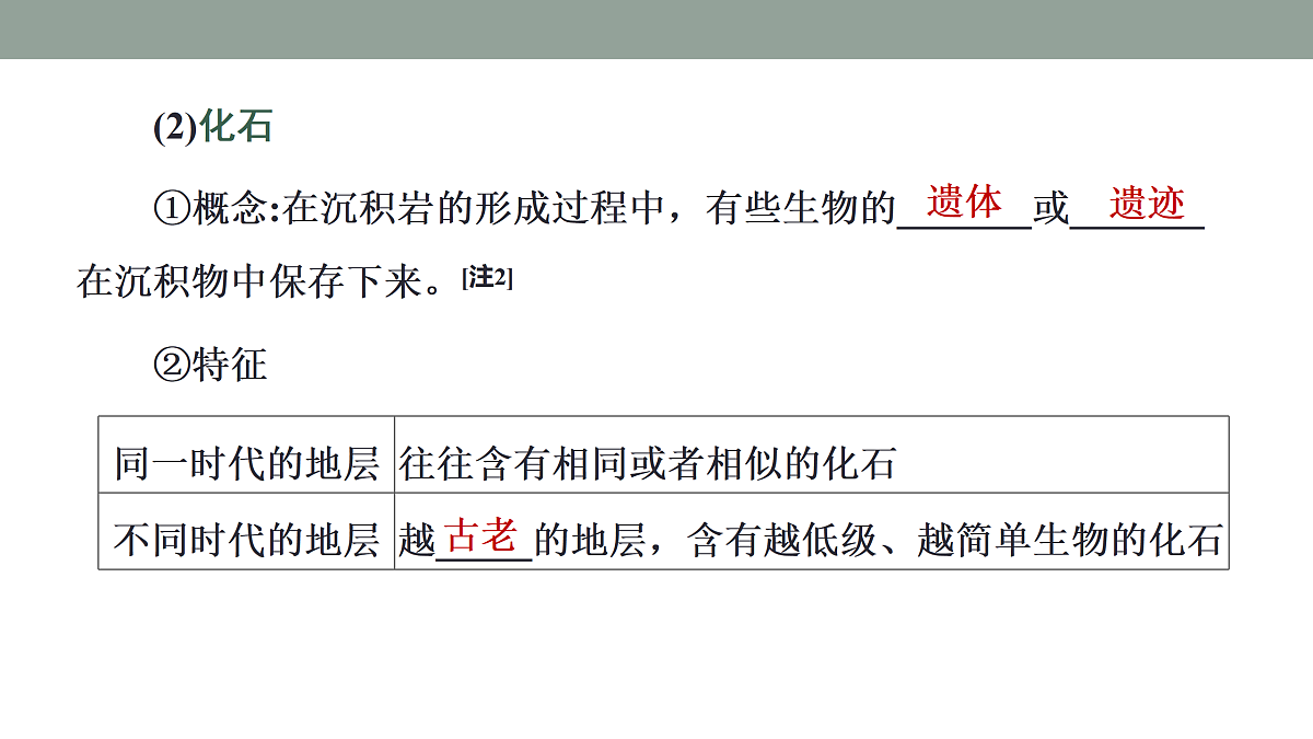 17424648第7页