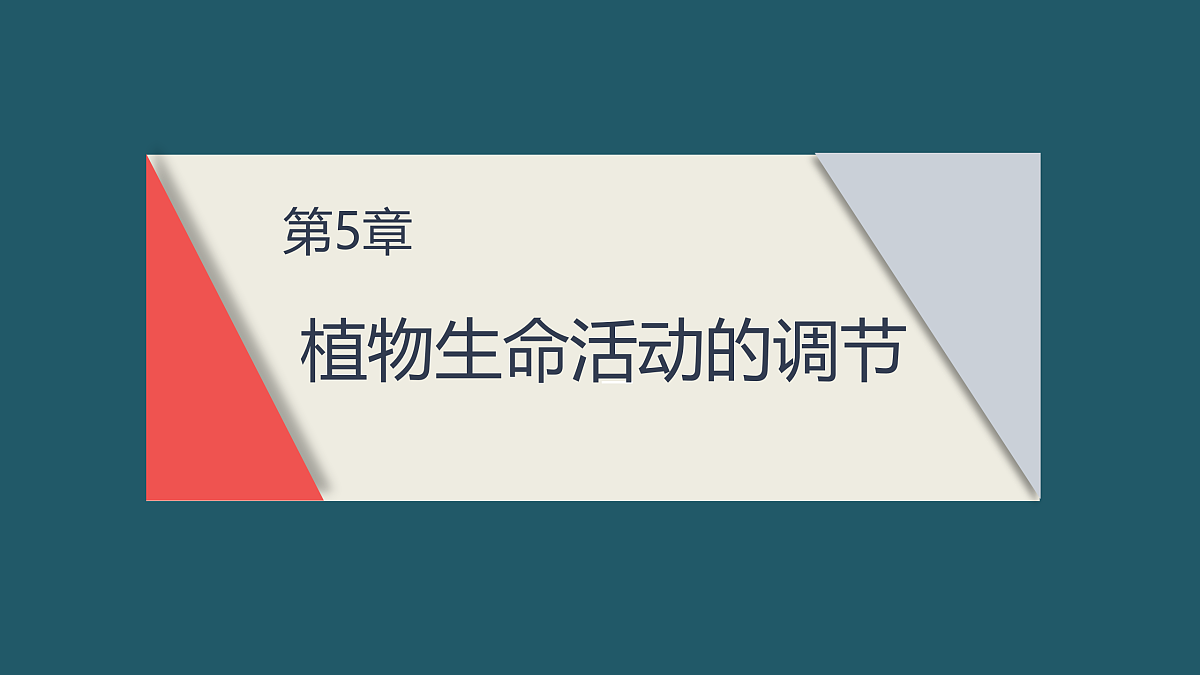 17424679第1页
