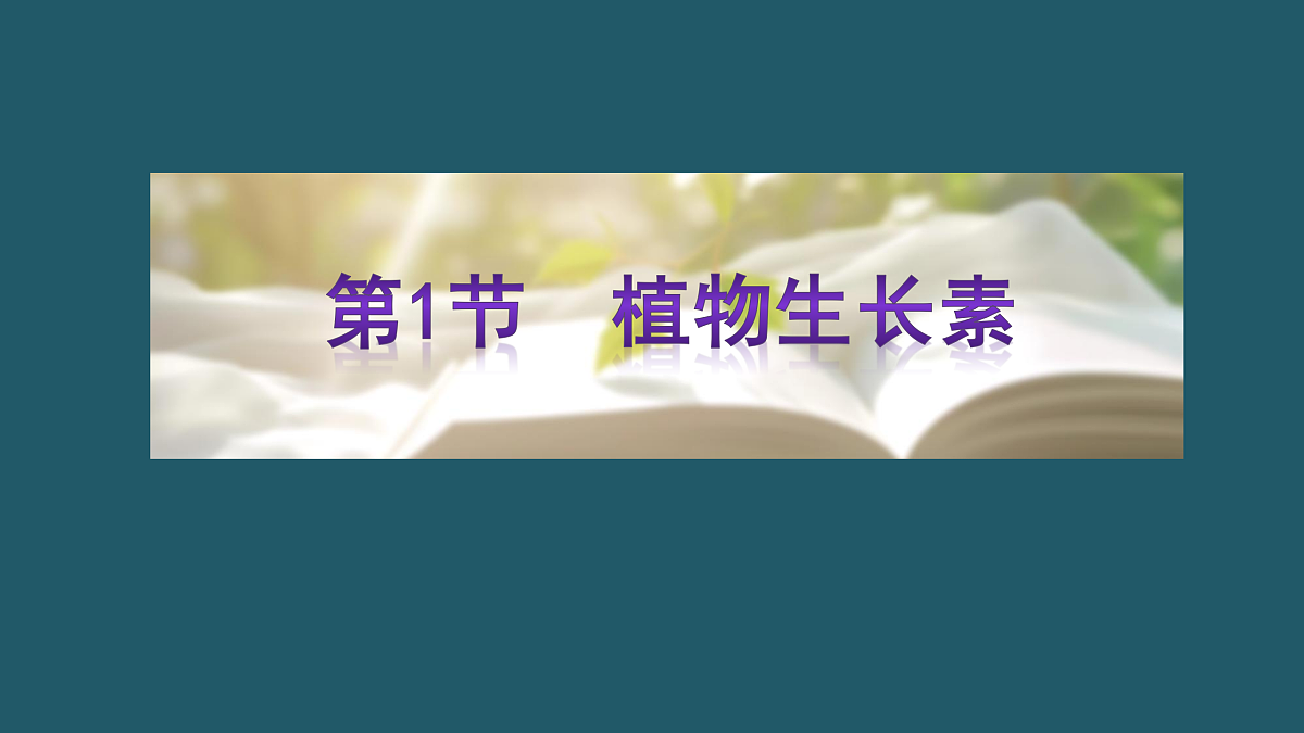 17424679第3页