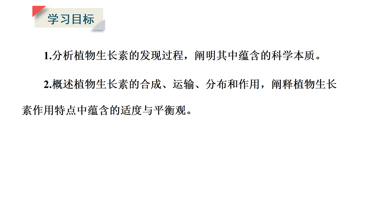 17424679第4页