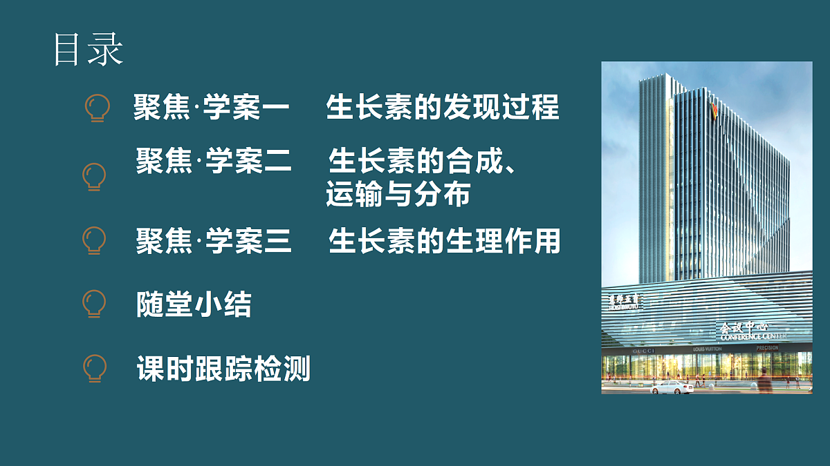 17424679第5页