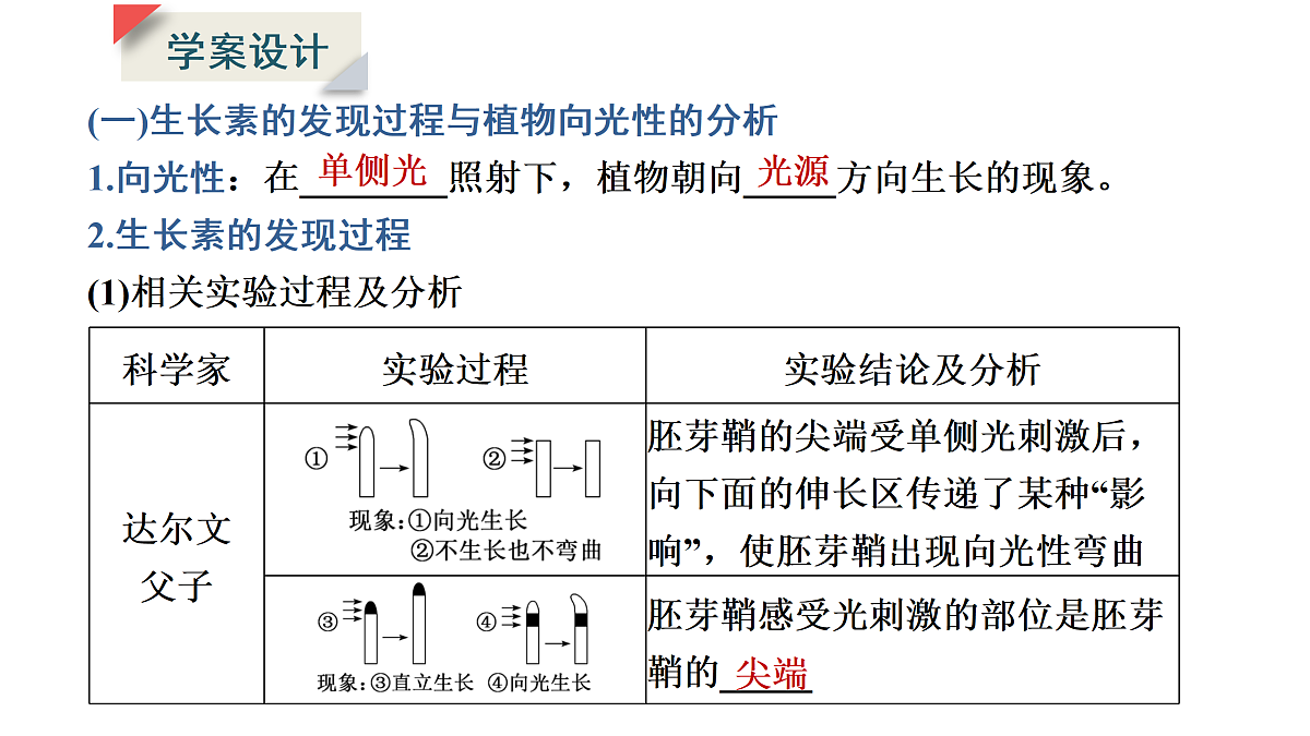 17424679第7页