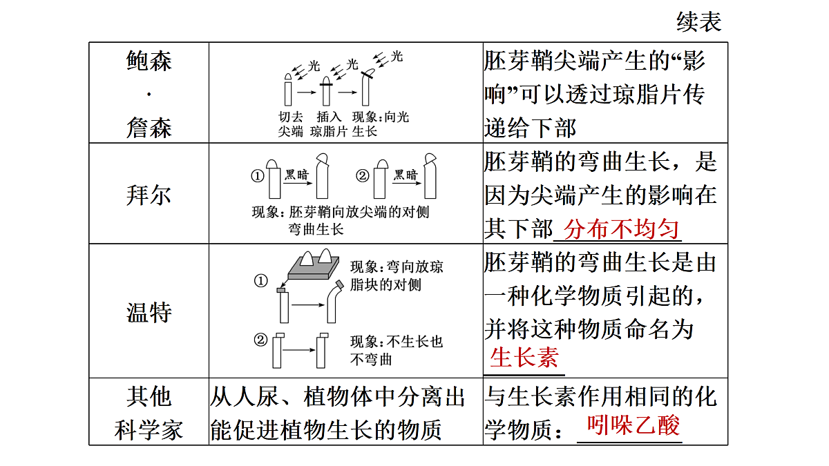 17424679第8页