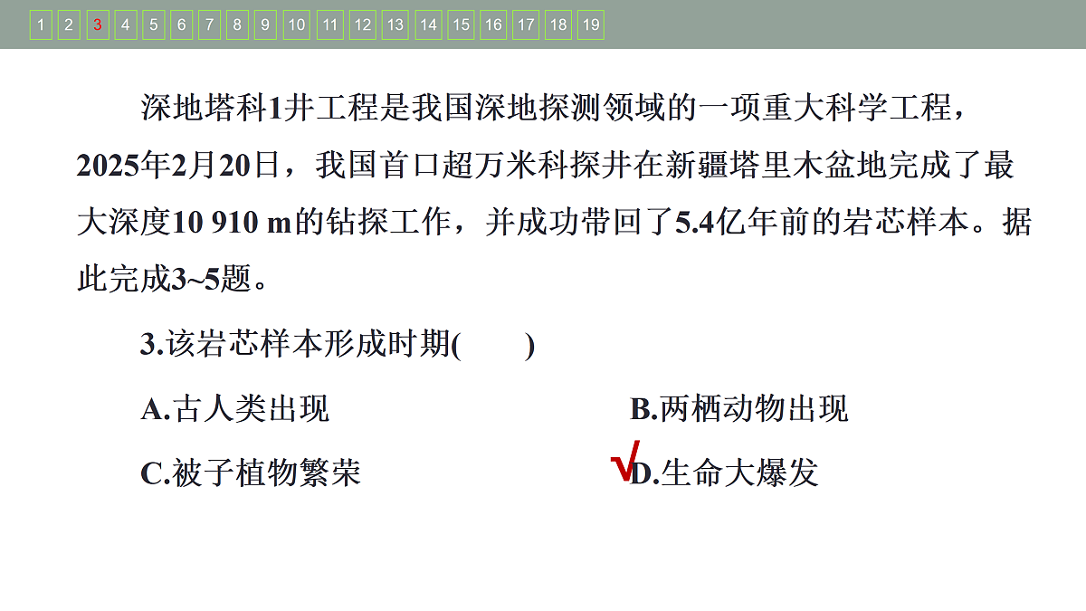 17424725第7页