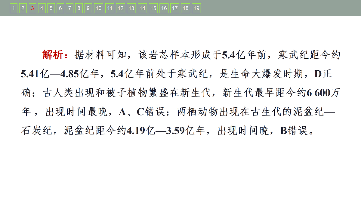 17424725第8页