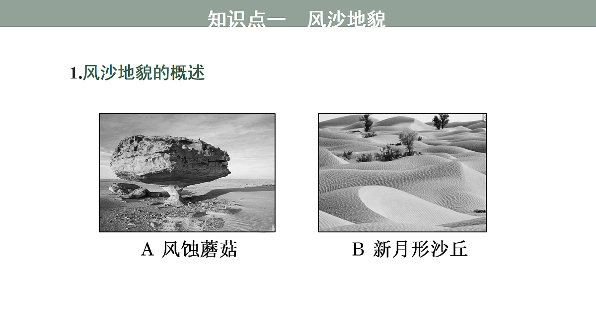 17424730第5页