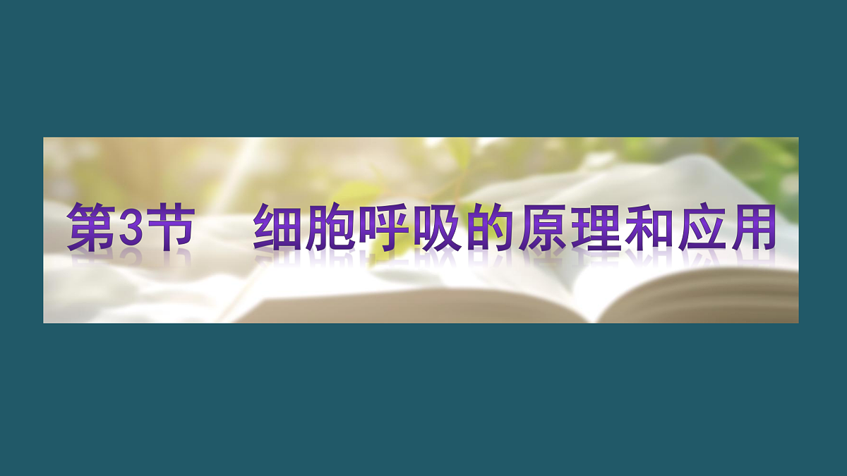 17424742第1页