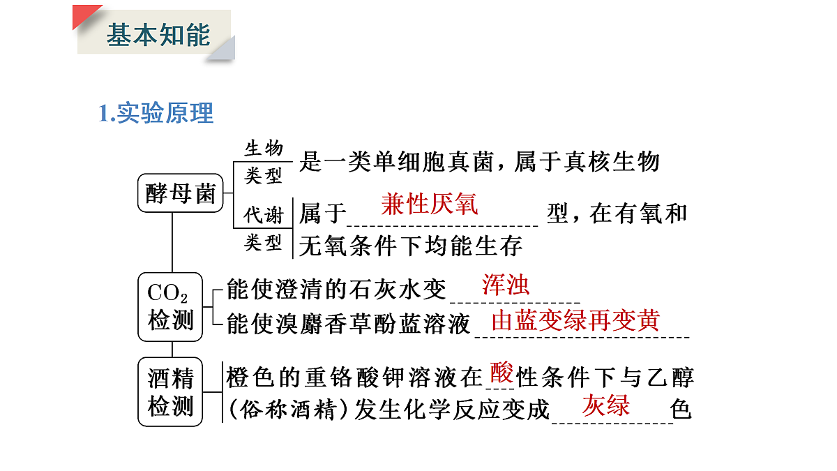 17424742第6页