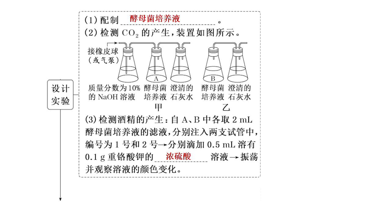 17424742第8页