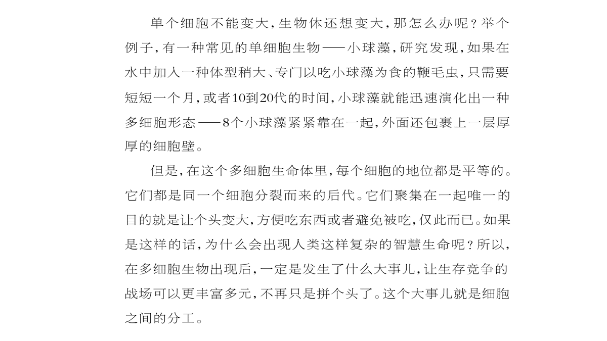 17424745第2页