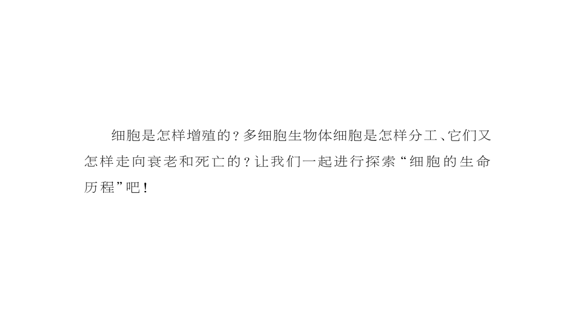 17424745第3页