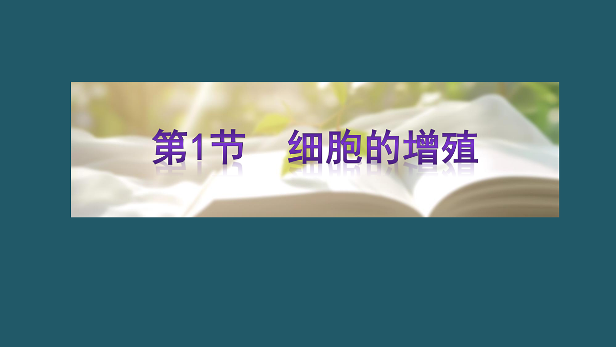 17424745第4页