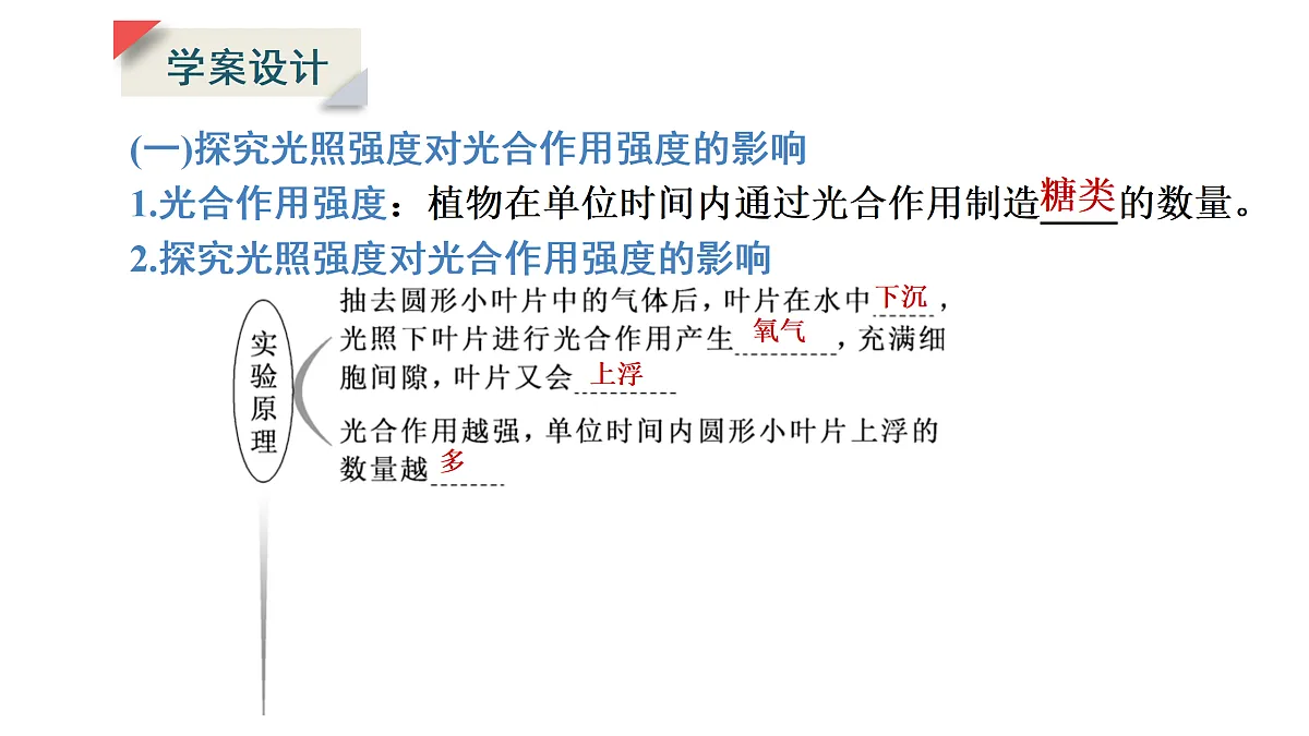 17424746第4页