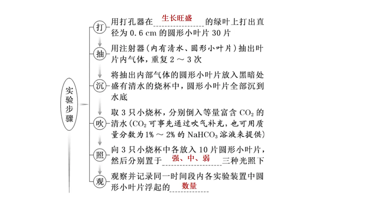 17424746第5页