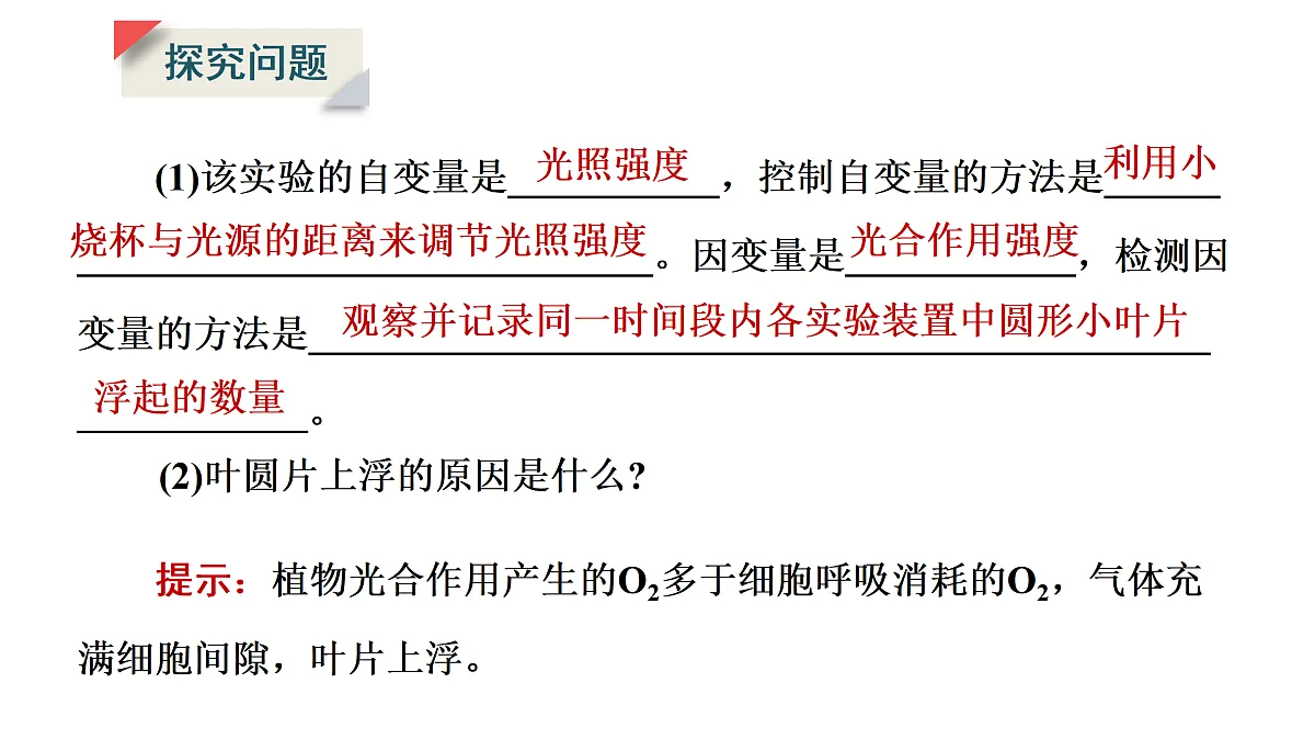 17424746第7页
