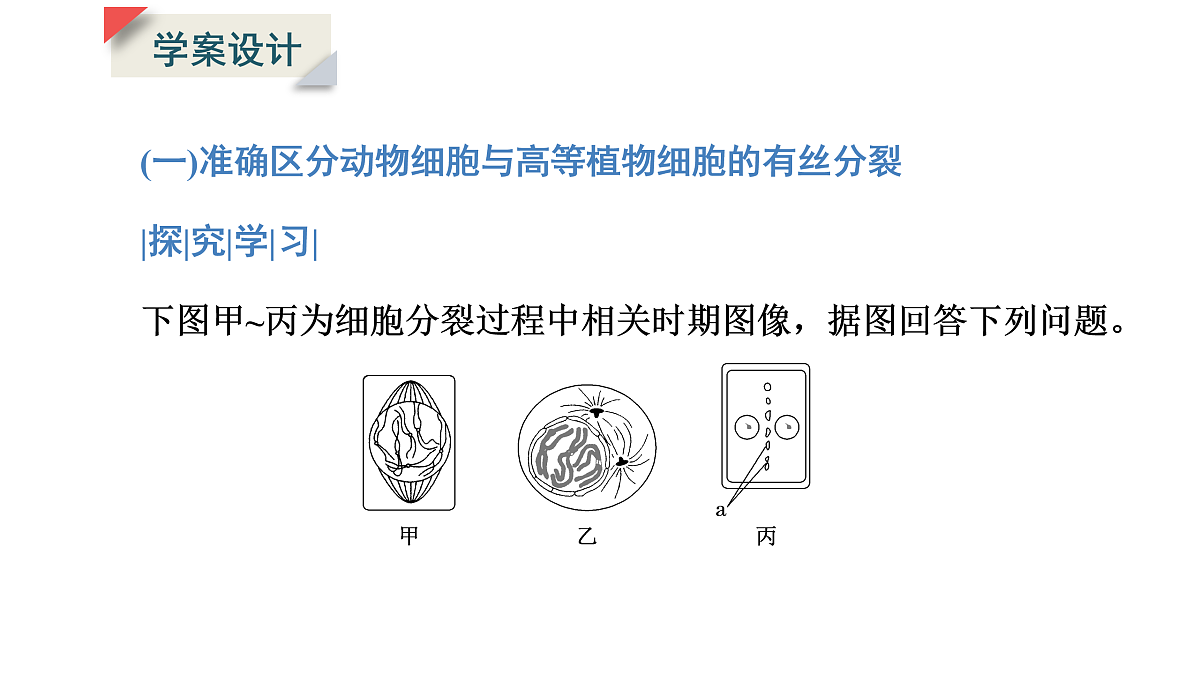 17425321第4页