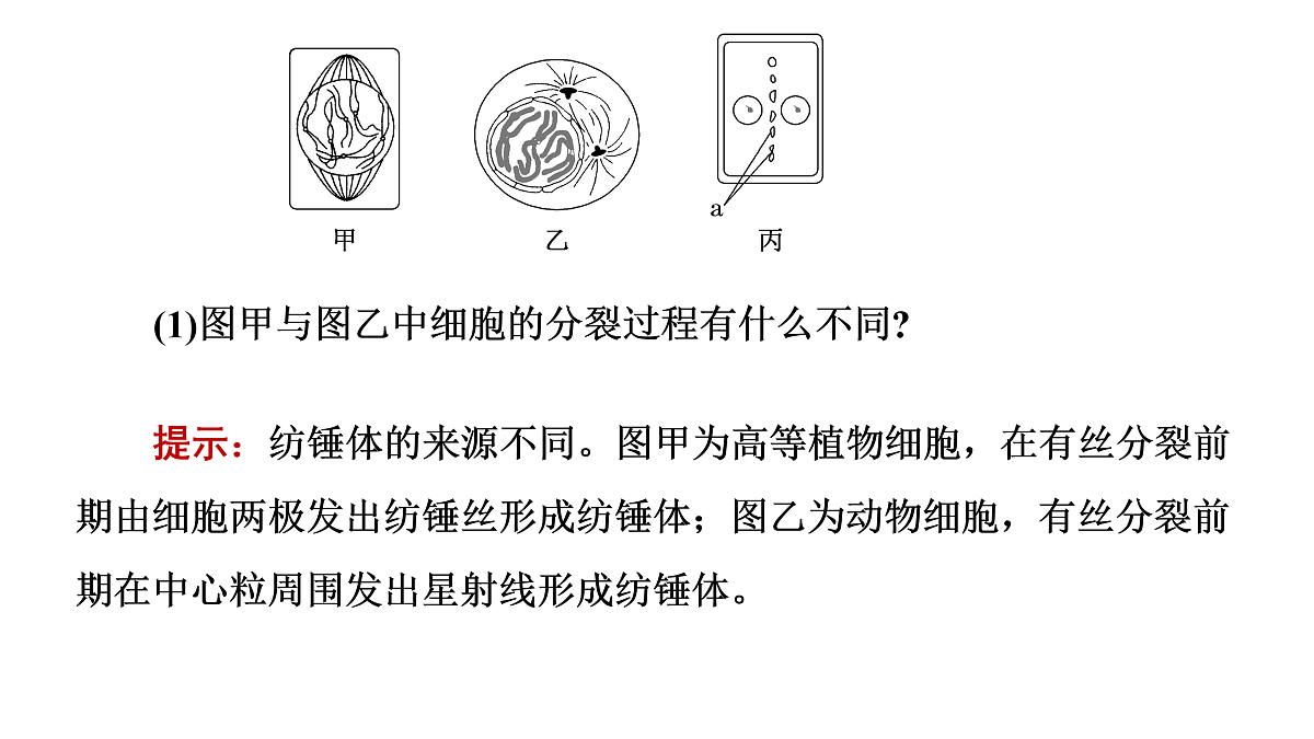 17425321第5页