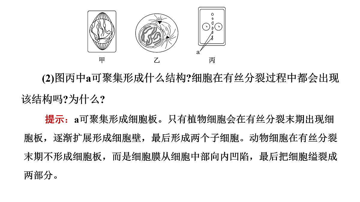 17425321第6页