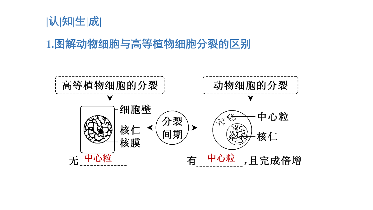 17425321第8页