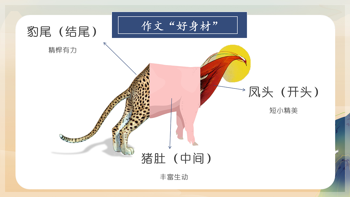 17428193第3页