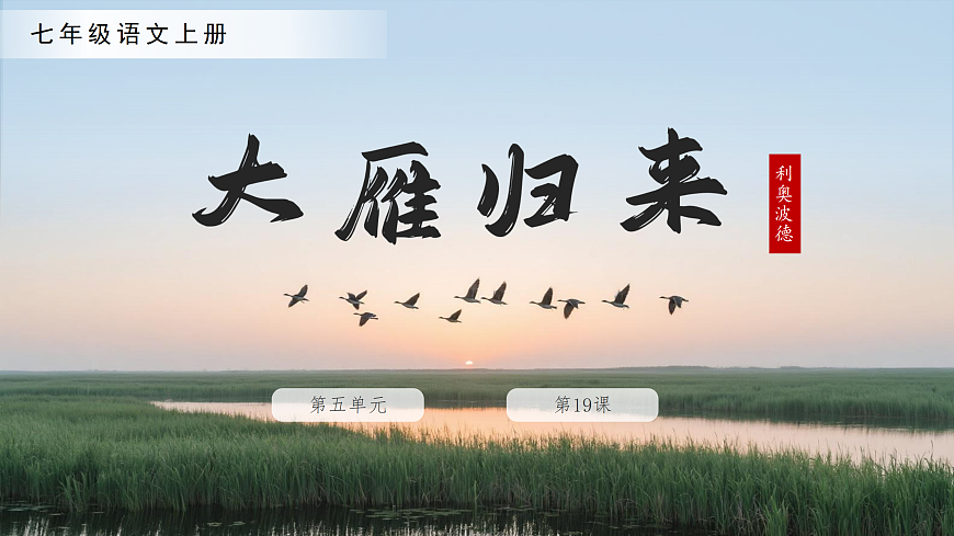 17428276第1页