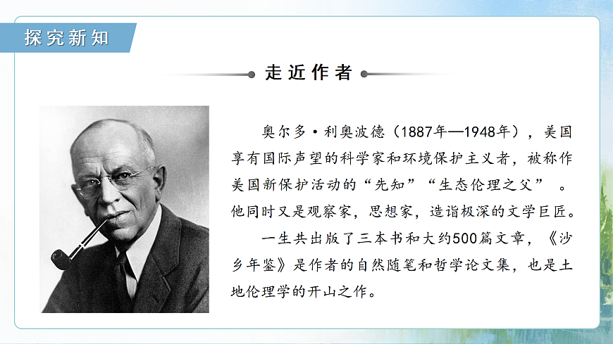 17428276第5页