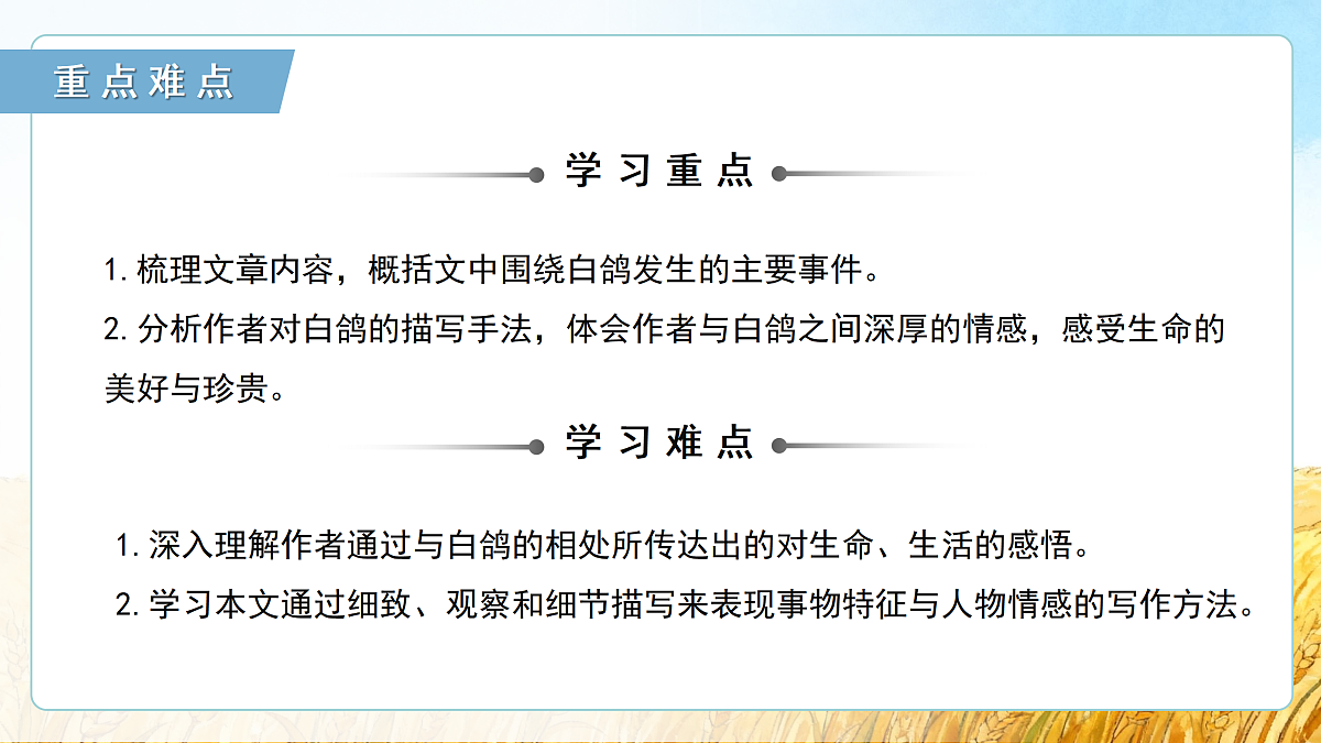 17428323第4页