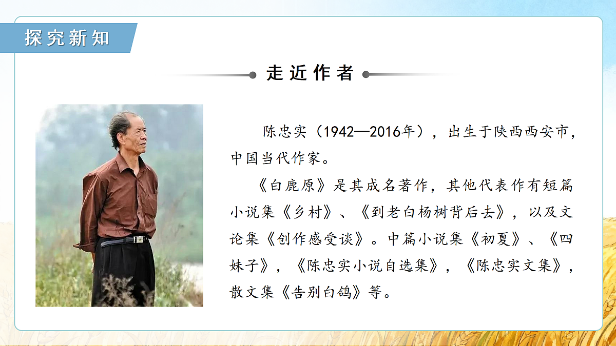 17428323第5页