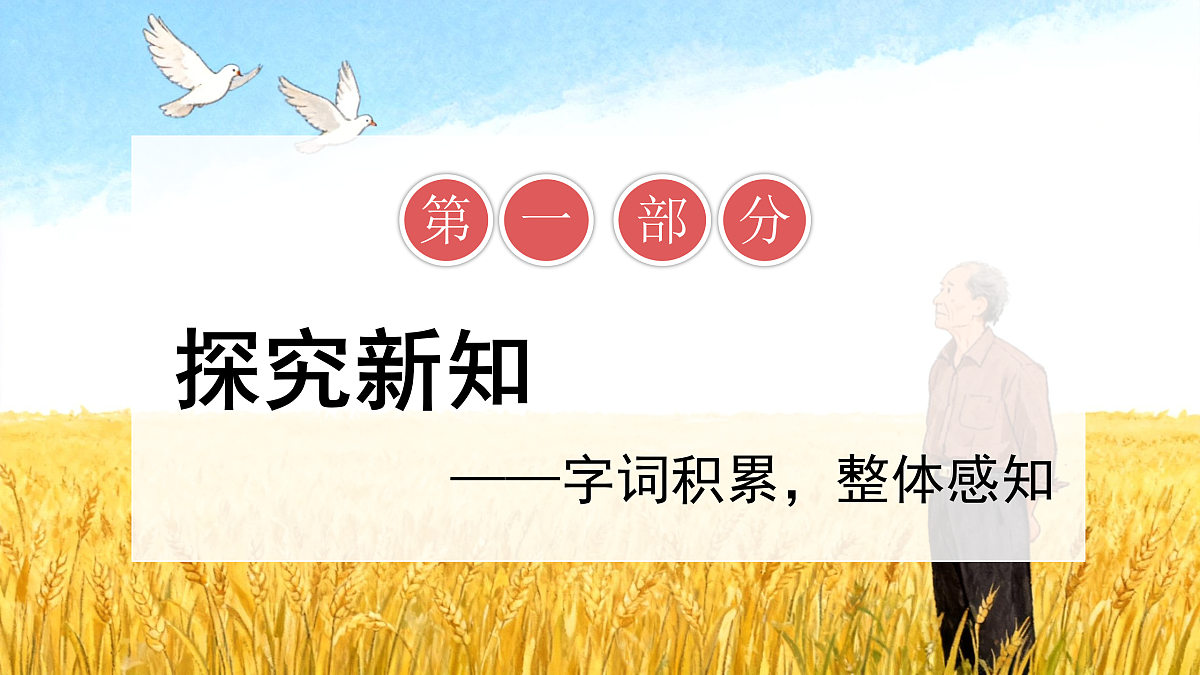 17428323第7页