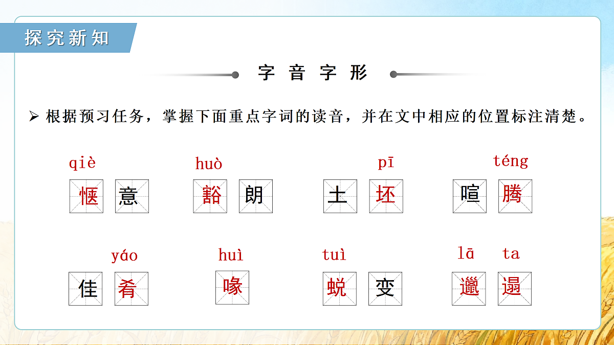 17428323第8页
