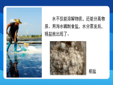 第8课 用水分离（课件+素材）2025-2026学年教科版科学三年级上册