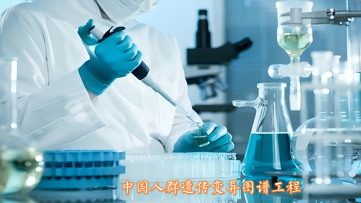 17428929第6页
