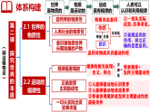 第二课探究世界的本质课件-2025-2026学年高中政治统编版必修四哲学与文化