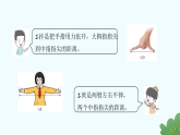 身体上的尺子第2课时 身体上的尺子 课件人教版数学二年级上册