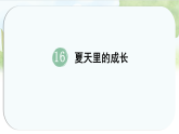 统编版语文六年级上册课件《16.夏天里的成长》