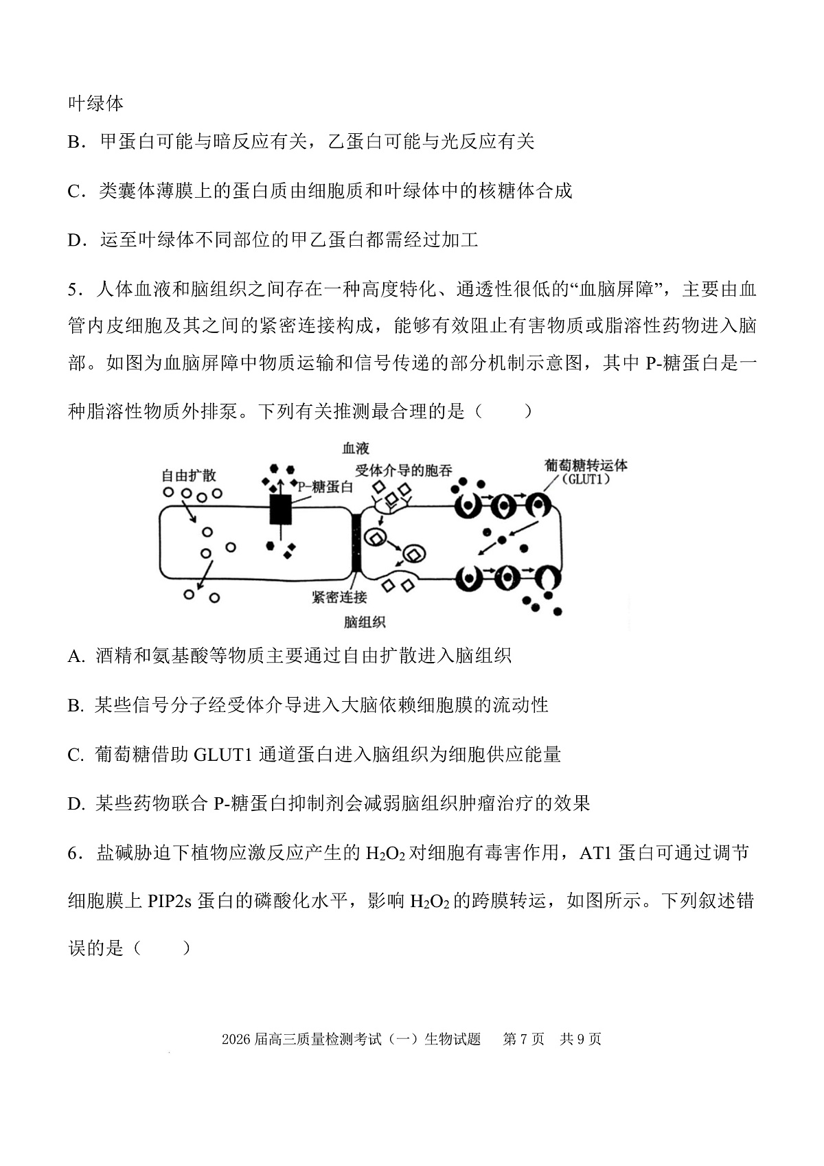 陕西省西安中学2026届高三上学期10月质量检测考试（一）生物第3页