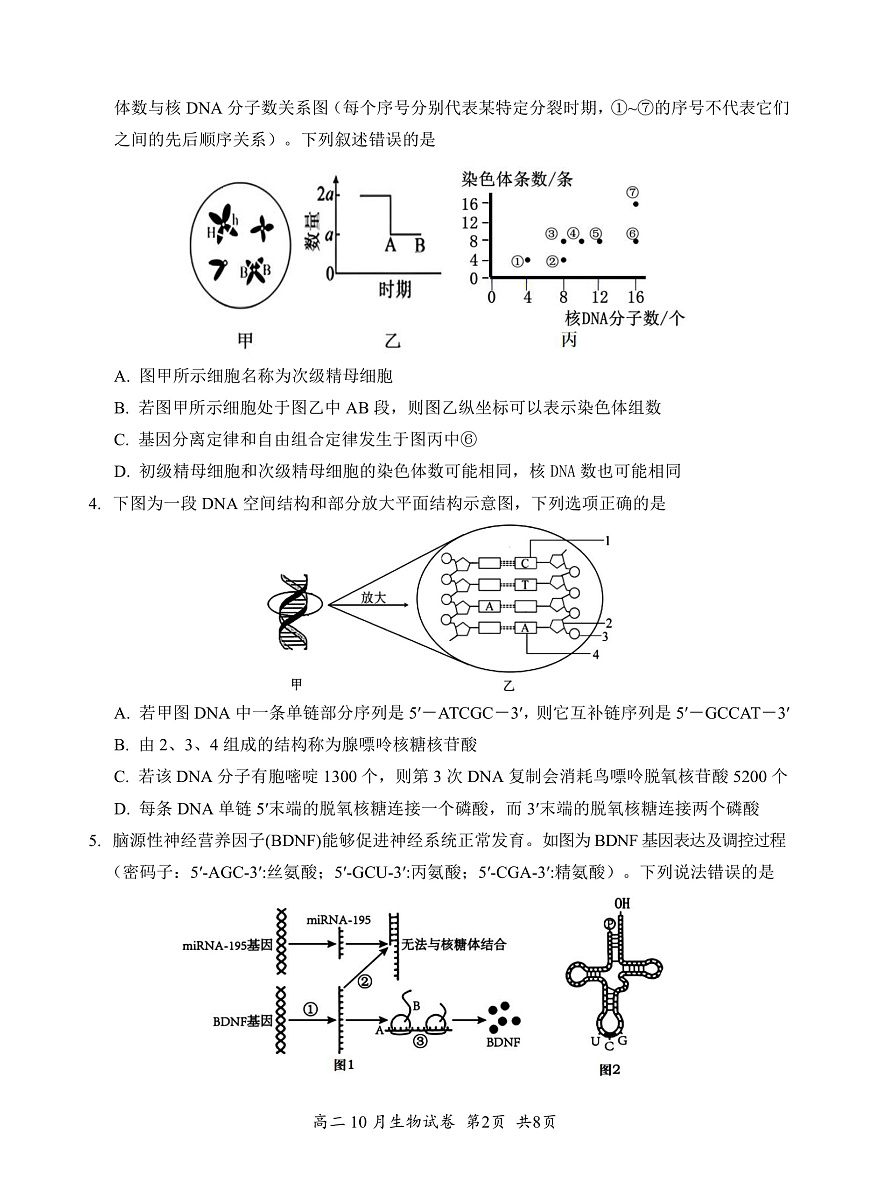 湖北省云学联盟2027届高二年级10月考试 生物第2页