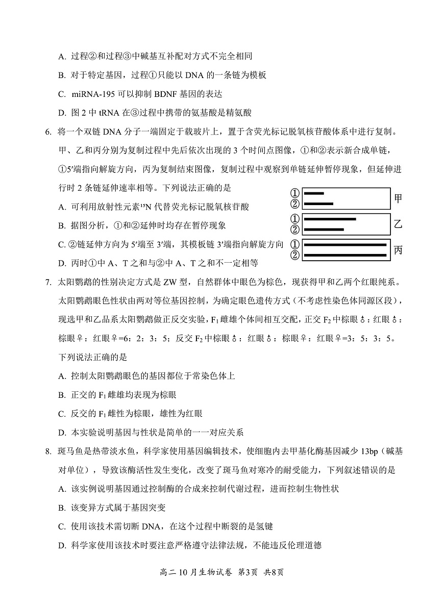 湖北省云学联盟2027届高二年级10月考试 生物第3页